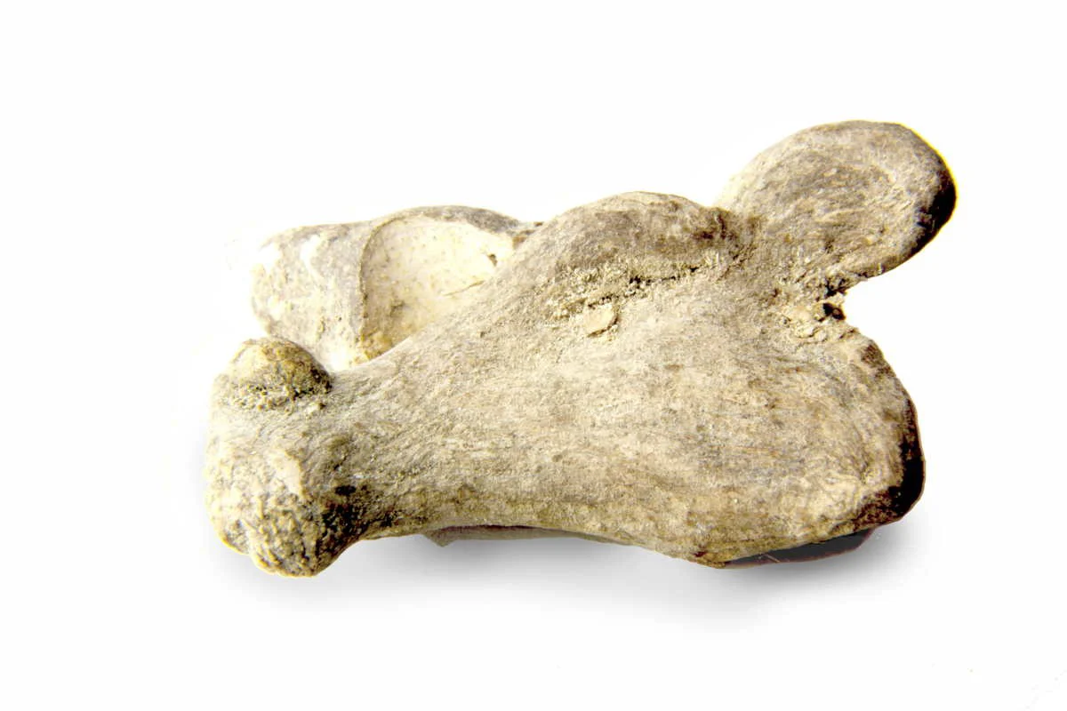 Miniature 1