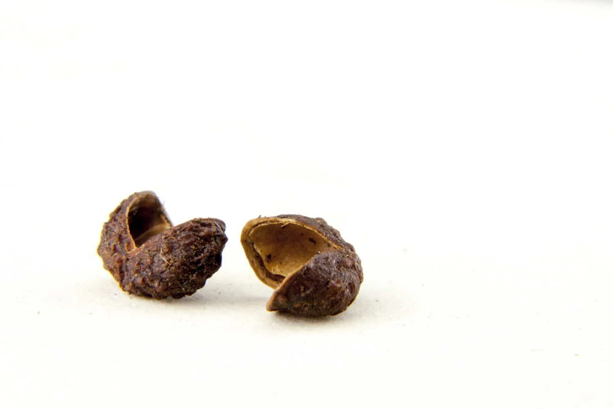 Miniature 1